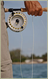 Captain Scott Collins offers flats and fly fishing charters throughout the Florida Keys
