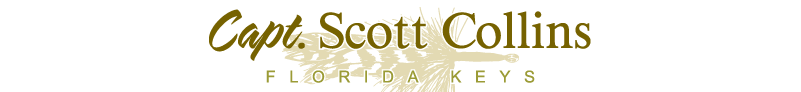 Capt Scott Collins, Florida Keys Fishing Guide